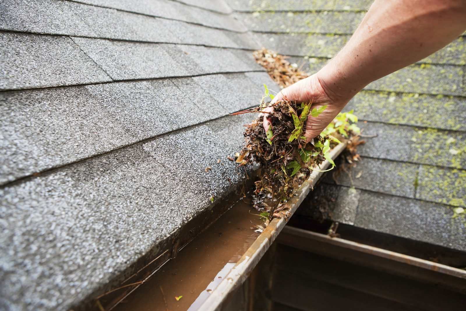 Gutter cleaning